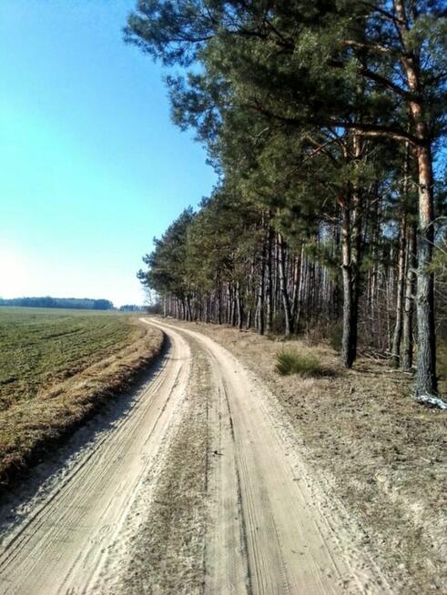 Sprzedam DZIAŁKĘ z MEDIAMI