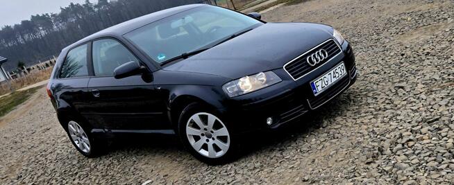 Audi a3 8p 1.6 mpi Zadbana, Zarejestrowana, bez wkładu