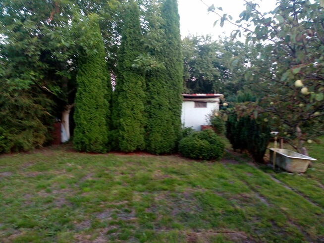 Działka ROD w Goleniowie