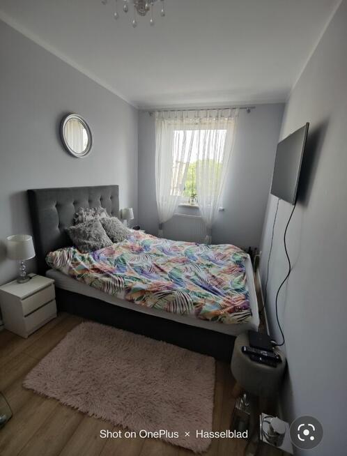 Wynajmę mieszkanie w Centrum Redy