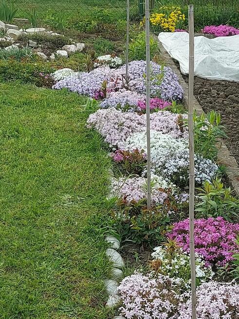 Działka ROD Hutnik 2