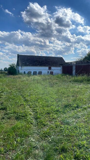 Profesjonalne usługi ogrodnicze