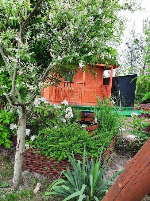 Sprzedam działkę ROD