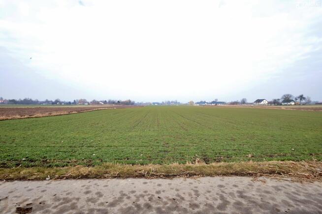 Działka usługowa Świdnik Duży gm. Wólka