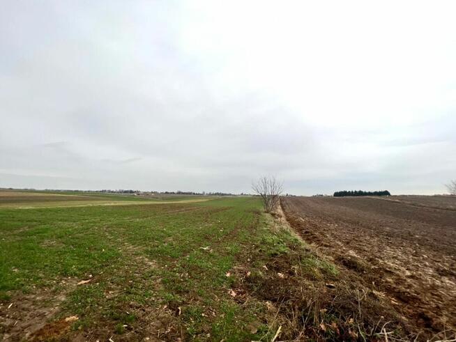 Działka rolna MARYSIN gm. JASTKÓW