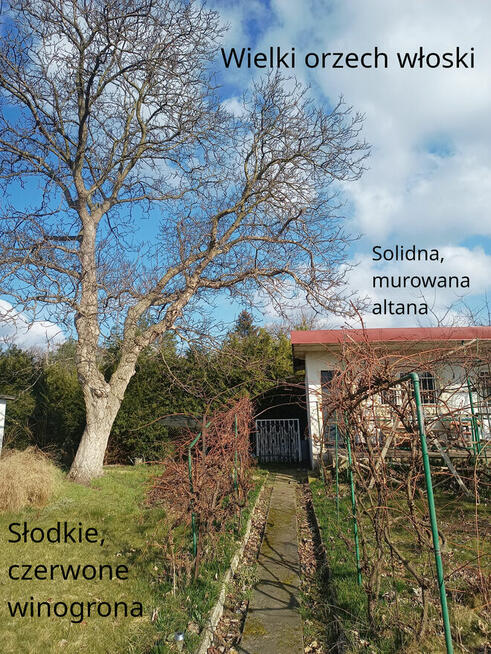 Działka ogrodową 6ar, Kolejarz