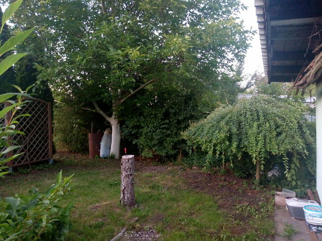 Działka ROD w Goleniowie