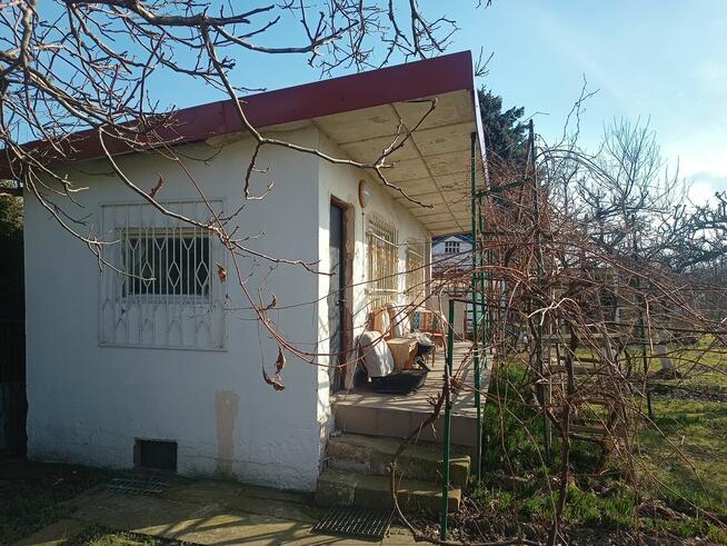 Działka ogrodową 6ar, Kolejarz