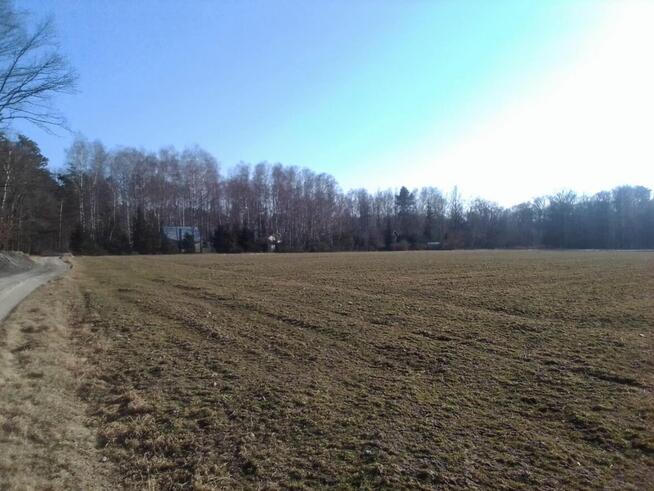 Sprzedam DZIAŁKĘ z MEDIAMI