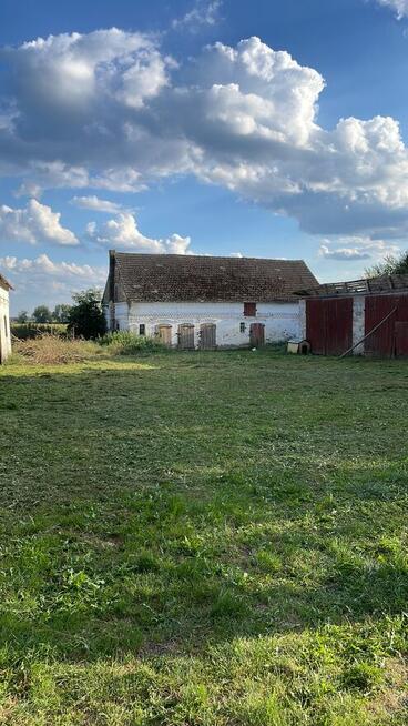 Profesjonalne usługi ogrodnicze