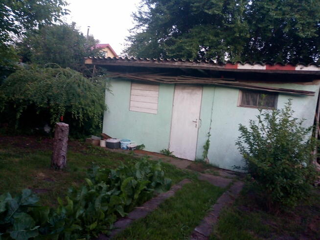 Działka ROD w Goleniowie