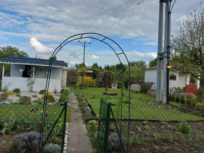 Działka ROD Hutnik 2