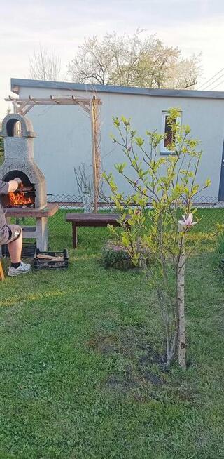 Sprzedam działkę ROD