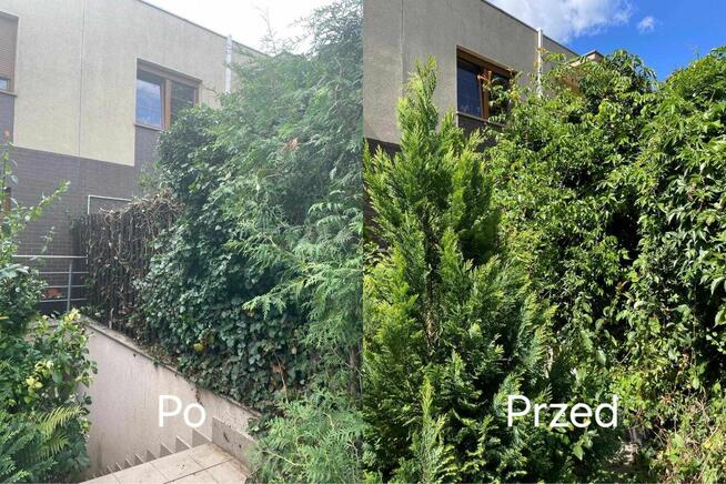 Profesjonalne usługi ogrodnicze