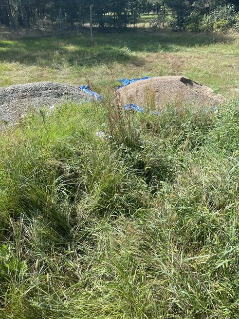 Profesjonalne usługi ogrodnicze