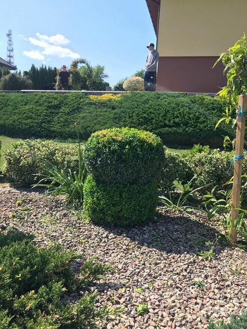 Profesjonalne usługi ogrodnicze