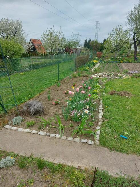 Działka ROD Hutnik 2