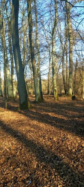 Sprzedam DZIAŁKĘ z MEDIAMI
