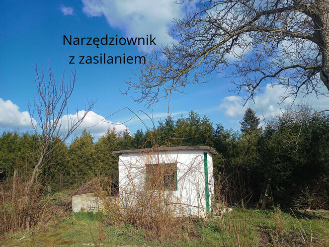 Działka ogrodową 6ar, Kolejarz