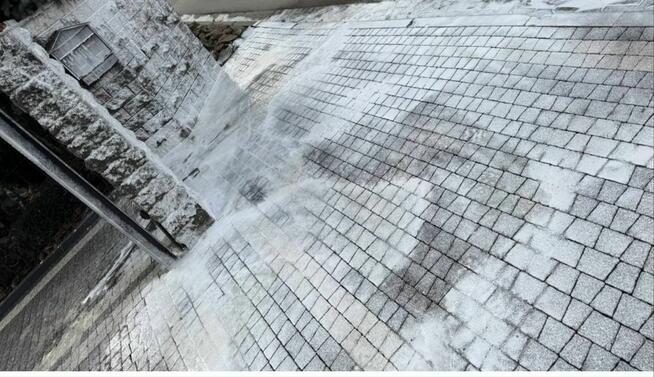 Profesjonalne mycie kostki brukowej i podcinanie żywopłotów