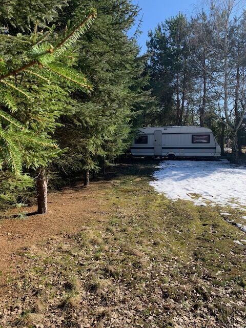 Działka rekreacyjna Orzechów Kolonia 21-109 Uścimów