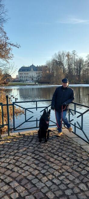 UKRAINKĘ do ZWIĄZKU - POZNAM