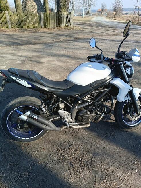 Suzuki SV650n