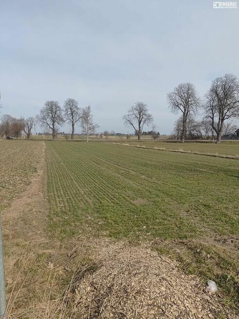 Działka budowlana Majdan Krasieniński gm. Niemce