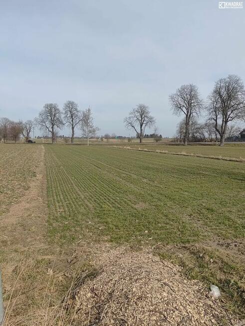 Działka budowlana Majdan Krasieniński gm. Niemce