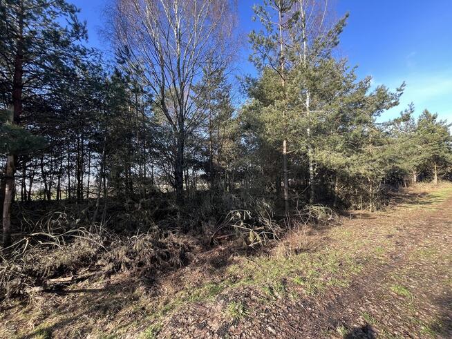 Na sprzedaż działka budowlana 800m Kownaciskach