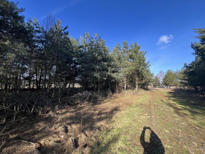 Na sprzedaż działka budowlana 800m Kownaciskach