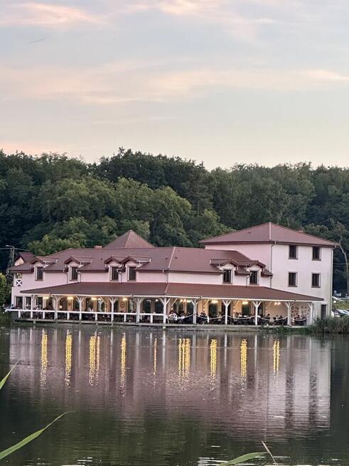 Restauracja zatrudni kucharza