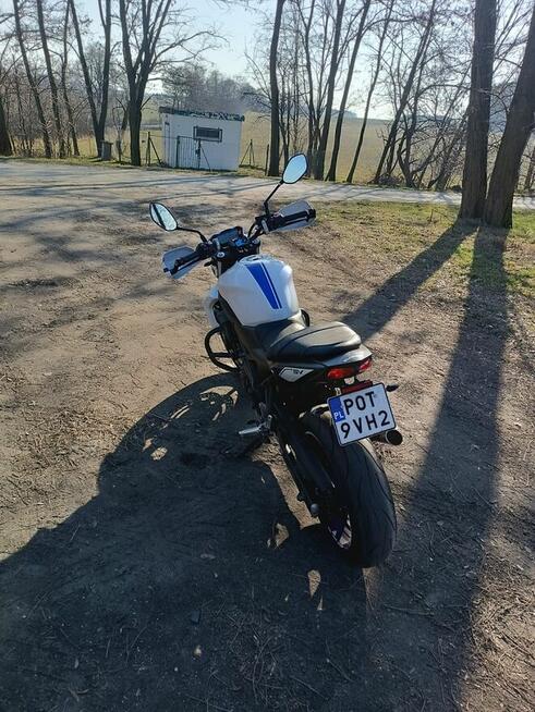 Suzuki SV650n