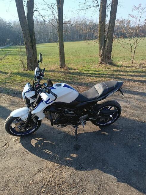 Suzuki SV650n