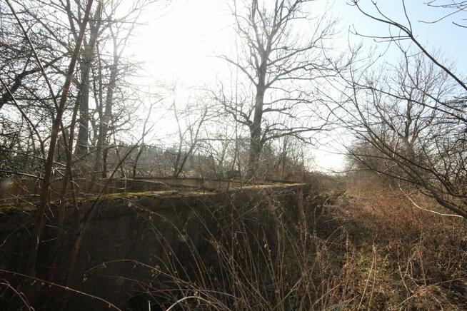 5pok, 200met, Jenkowice STODOŁA/OGRÓD/GARAŻ (Jenkowice)