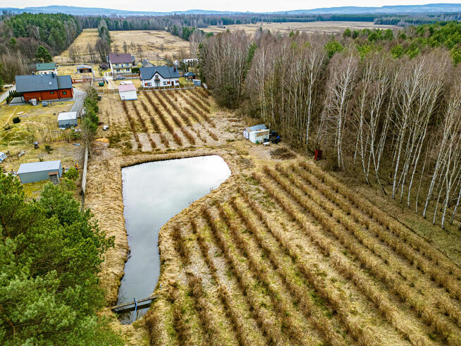Komfort i luksus w leśnym zaciszu – Twój wymarzony dom