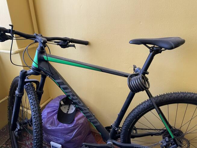 Rower strom x 6 nowy