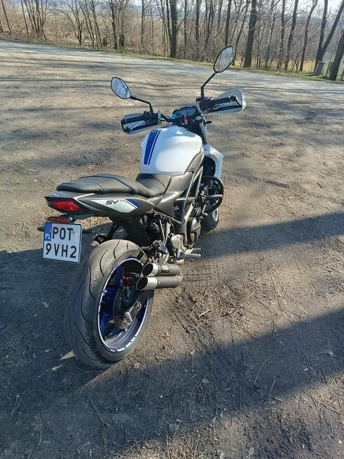 Suzuki SV650n