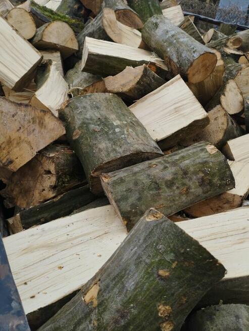 Zrzyny i inne drewno