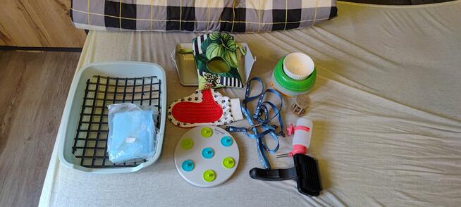 Akcesoria dla królika