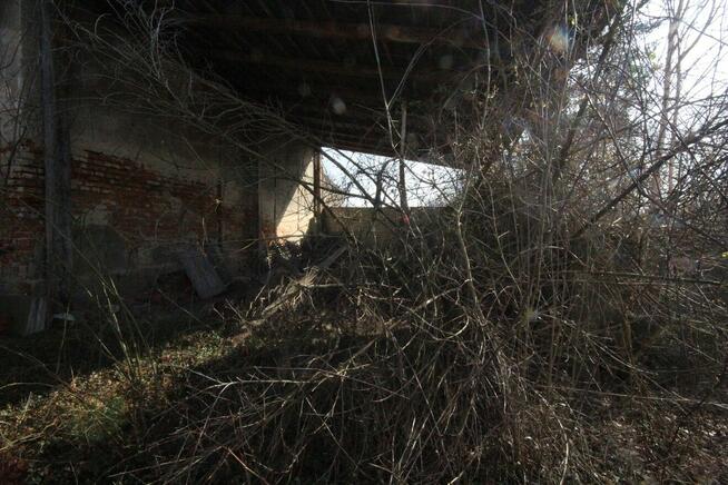 5pok, 200met, Jenkowice STODOŁA/OGRÓD/GARAŻ (Jenkowice)