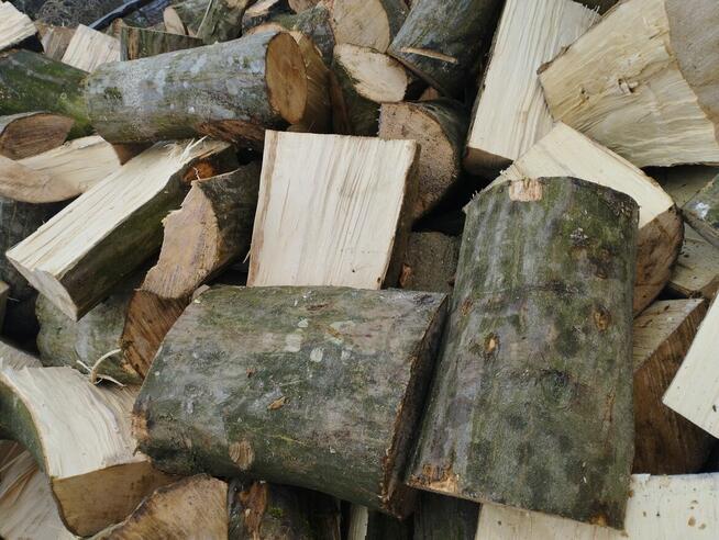 Zrzyny i inne drewno