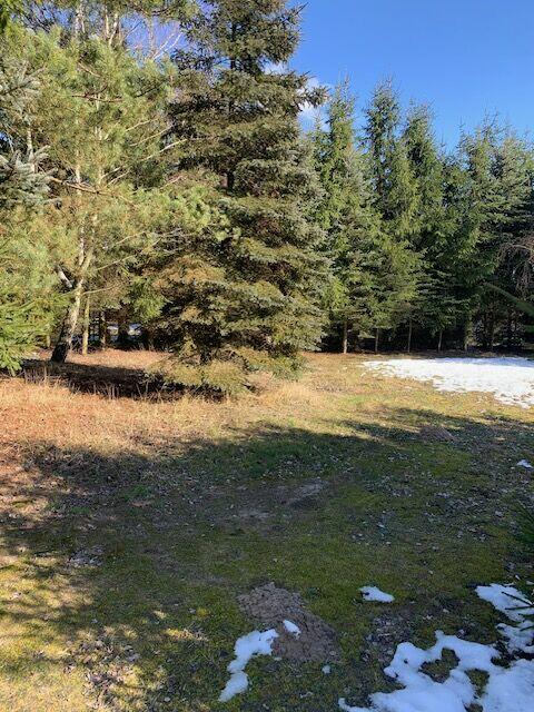 Działka rekreacyjna Orzechów Kolonia 21-109 Uścimów