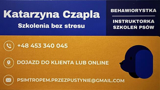 Behawiorysta zwierząt, Instruktor szkoleń psów