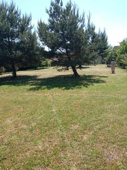 Wynajmę działkę z domkiem drewniany