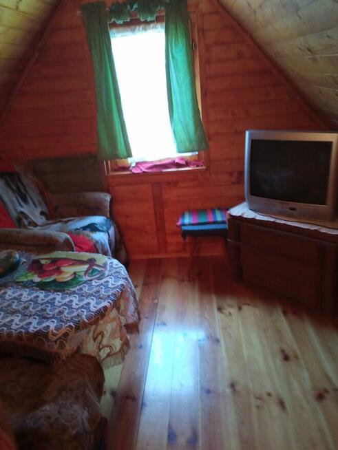 Wynajmę działkę z domkiem drewniany