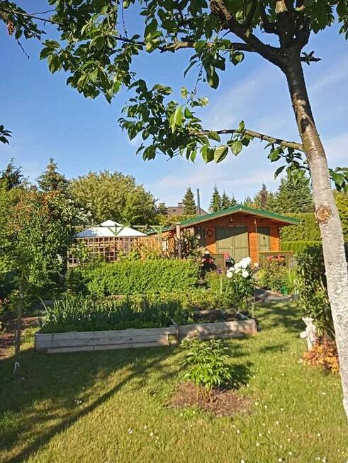 Działka ROD 400m2 Zacisze Sępólno Krajeńskie