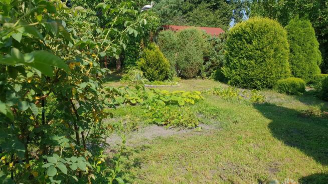 Działka ROD Sosnowiec Kalinowa