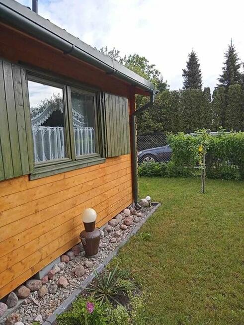 Działka ROD 400m2 Zacisze Sępólno Krajeńskie