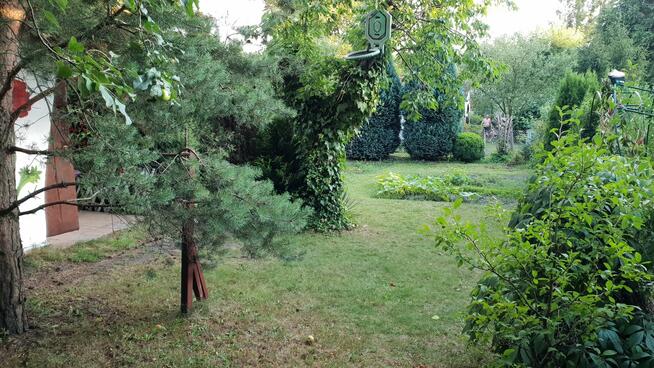 Działka ROD Sosnowiec Kalinowa